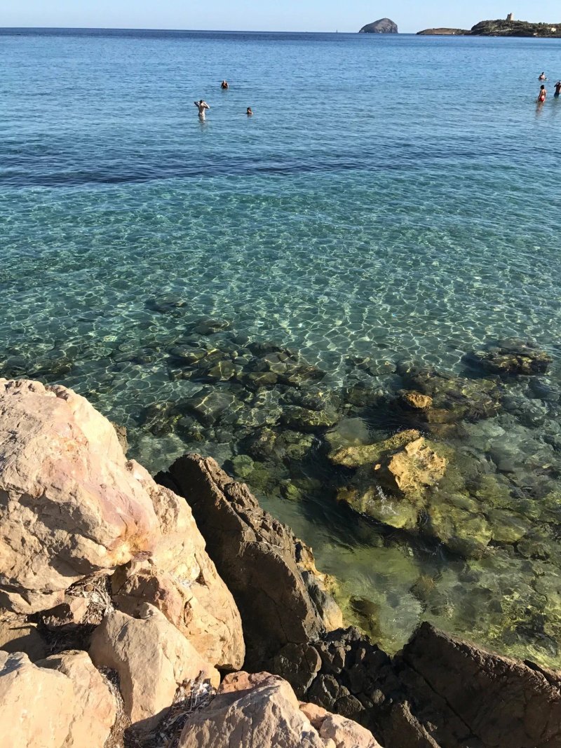 Le Pavoncelle