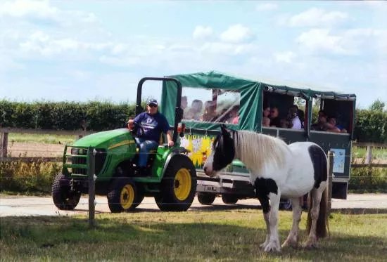 World Horse Welfare Hall Farm