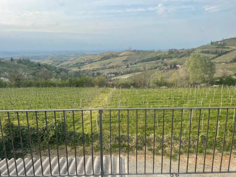 Azienda Agricola La Trava