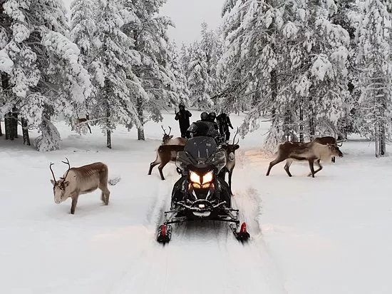 Aurora eMotion - Electric Snowmobile Safaris