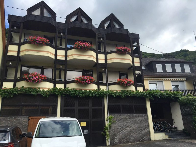 Mosel Rebenhof