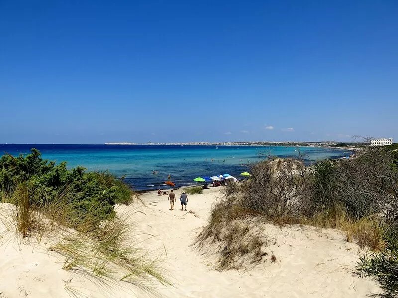 Secluded villa with unshared pool (Jun-Sep) surrounded by an acre of olive trees