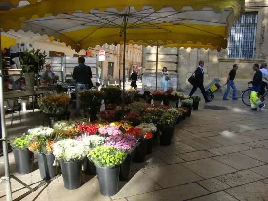 Marche aux Fleurs