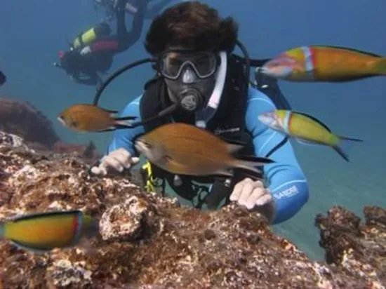 Davy Jones Diving