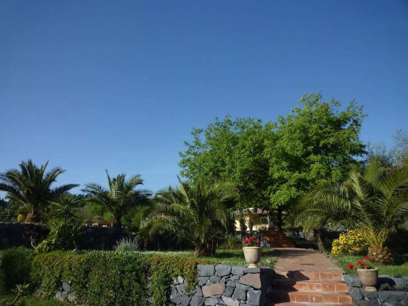 CASA GALLIDA di NAUD PATRICIA