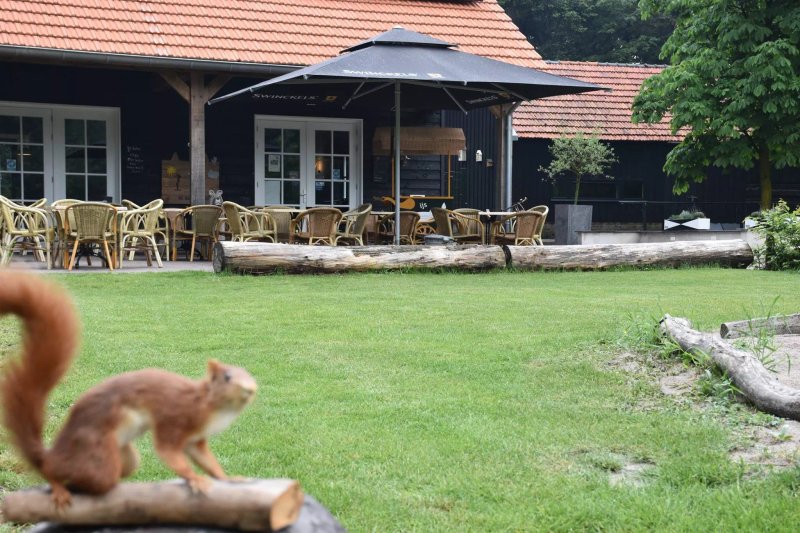 Koffie- en Theehuis De Boswachter