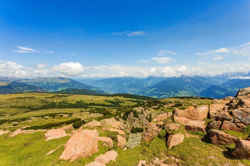 Gasthof Lamm beim schiefen Turm