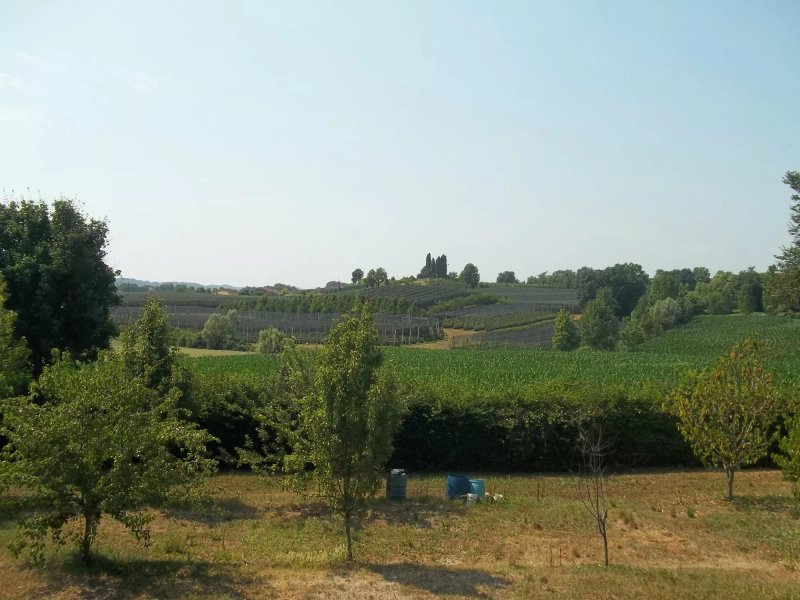 Azienda Agricola La Giorgiana