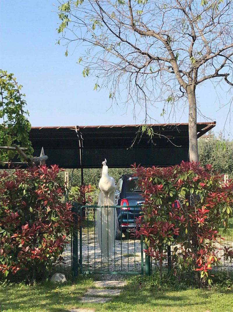 Azienda Agricola Raval