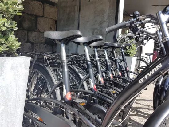 Durus Rent A Bike