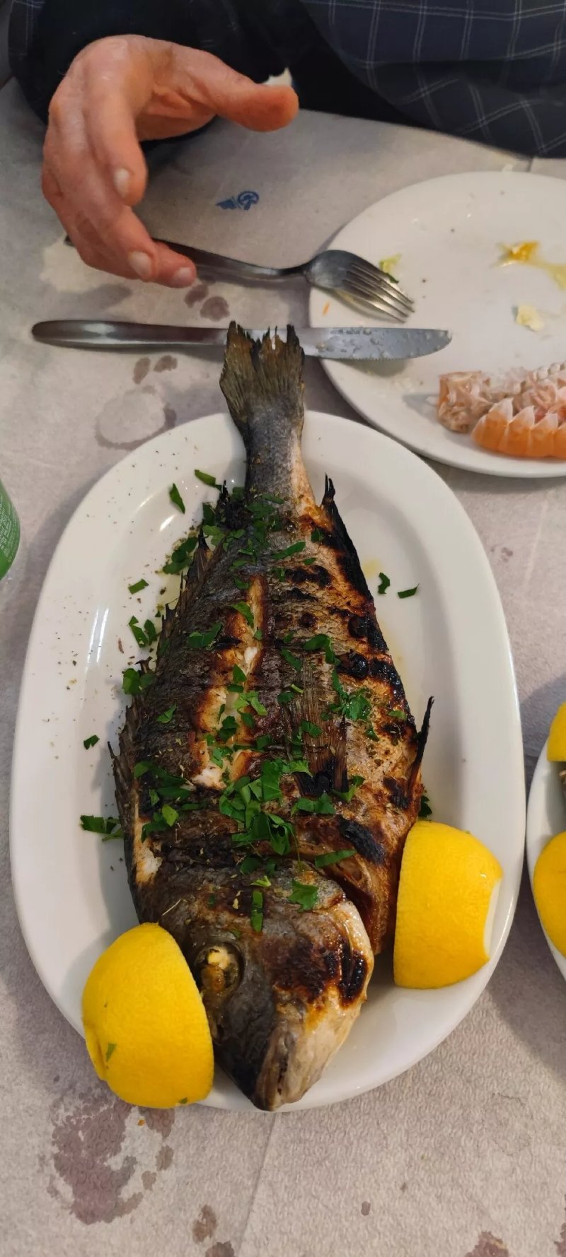 To Koutouki Tis Kamaras