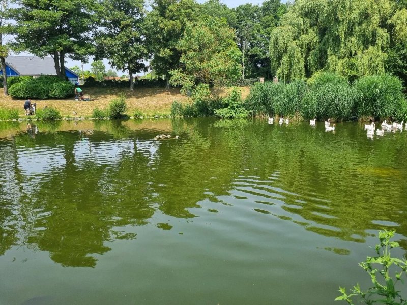 Taverne de l'etang