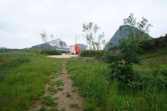 Bosque de Galicia