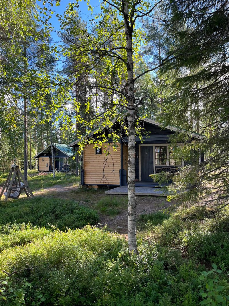 Metsä Kolo