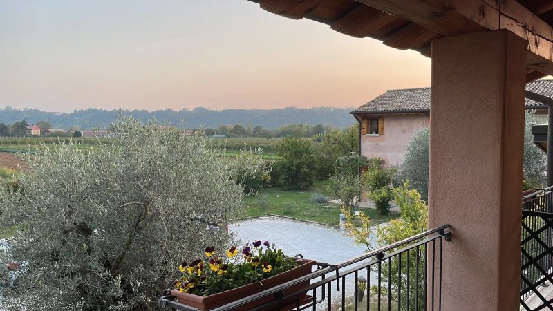 Agriturismo Morgan