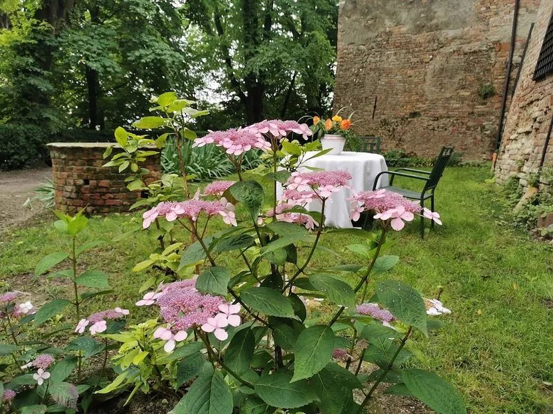 Apartment  in the Castle of Robella on  the green hills of Monferrato.