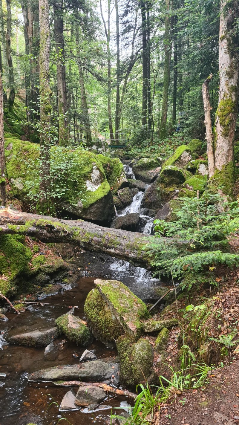 Auberge Refuge Du Neuweiher
