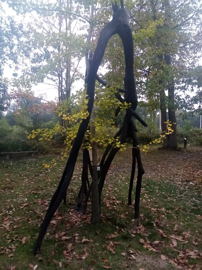 L'homme Et La Nature