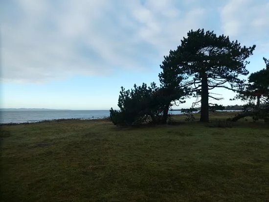 Naturreservatet Sodra Bjarekusten