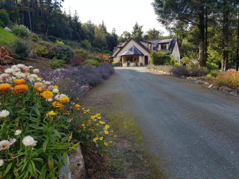 Forest View Woodland Lodge