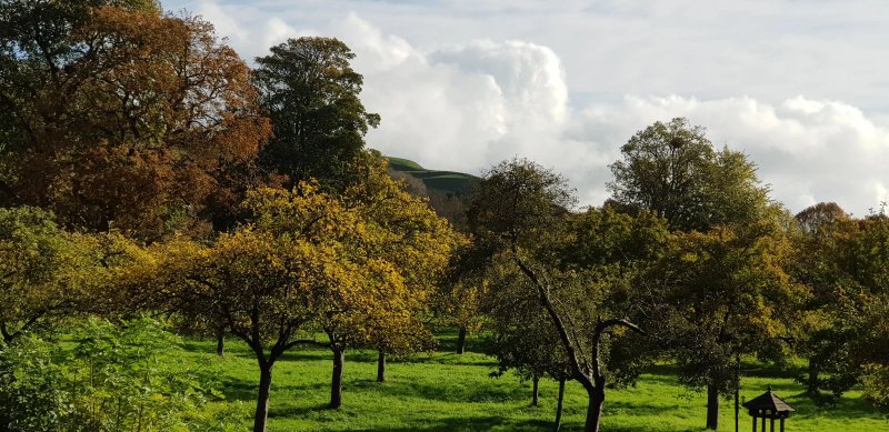 Abbots Leigh