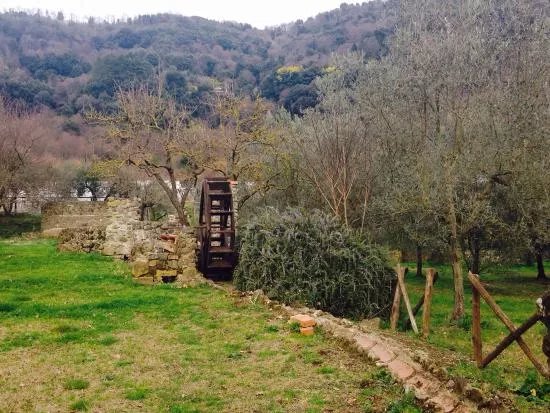 Azienda Il Giardino di Diana