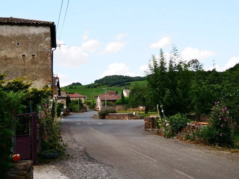 Domaine la Fontaine du Mont