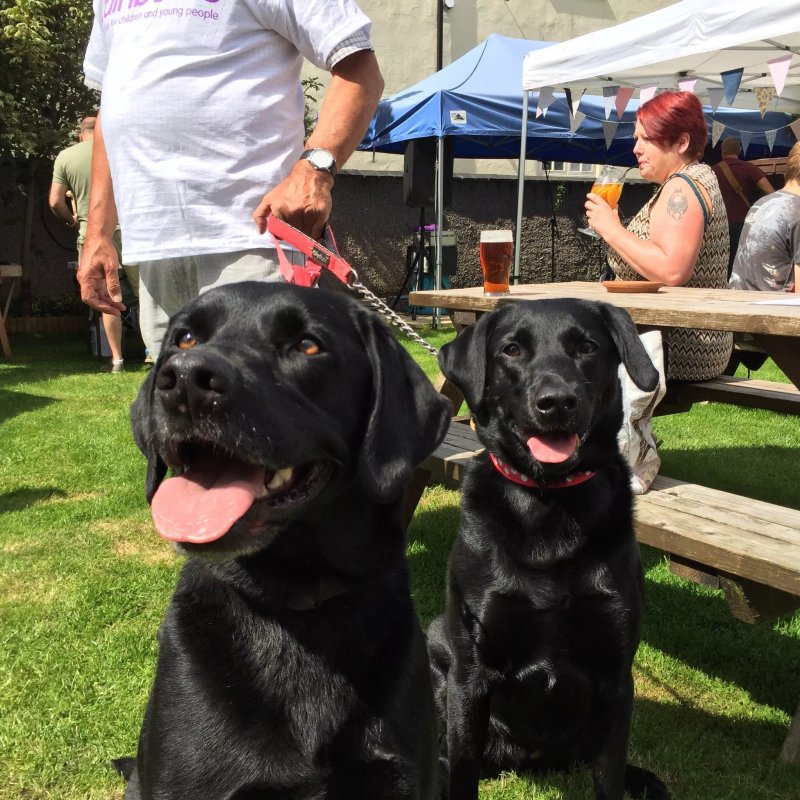 George And Dragon