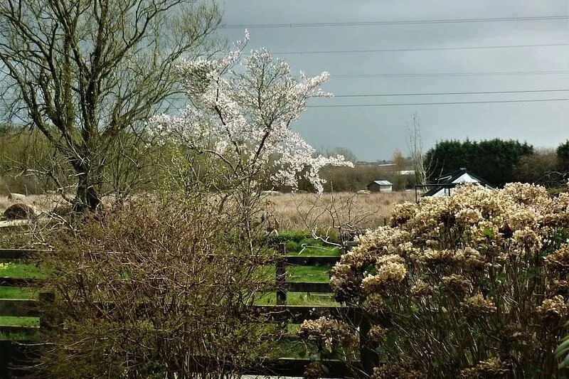 Christine's Shepherds Hut