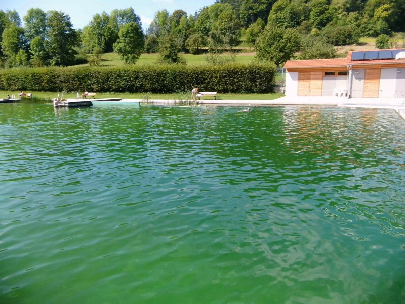 Gasthof Hotel Reif