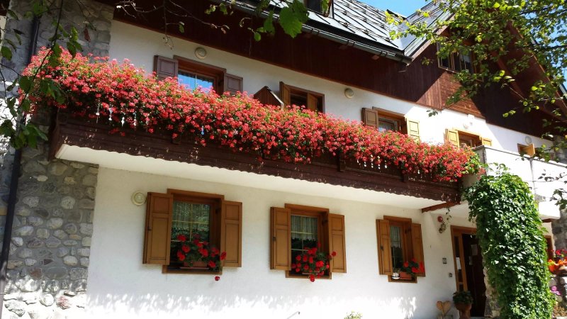 Hotel Picchio Nero