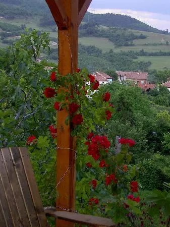 Mountain View Bulgaria