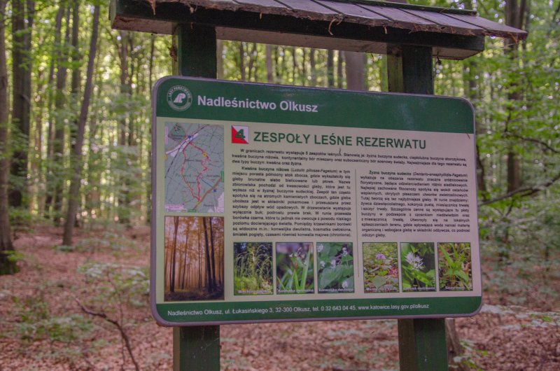 Sciezka dydaktyczna rezerwatu Pazurek
