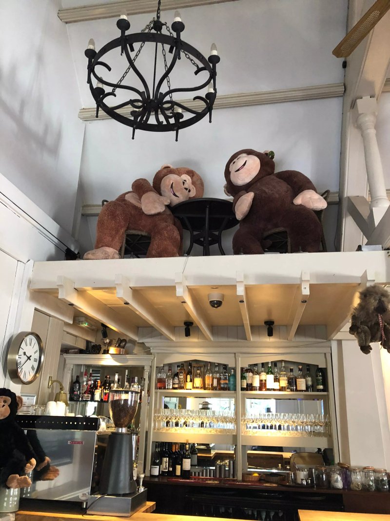 Monkey Brewhouse Bed & Breakfast