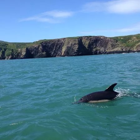Aquaphobia Ramsey Island Power Boats