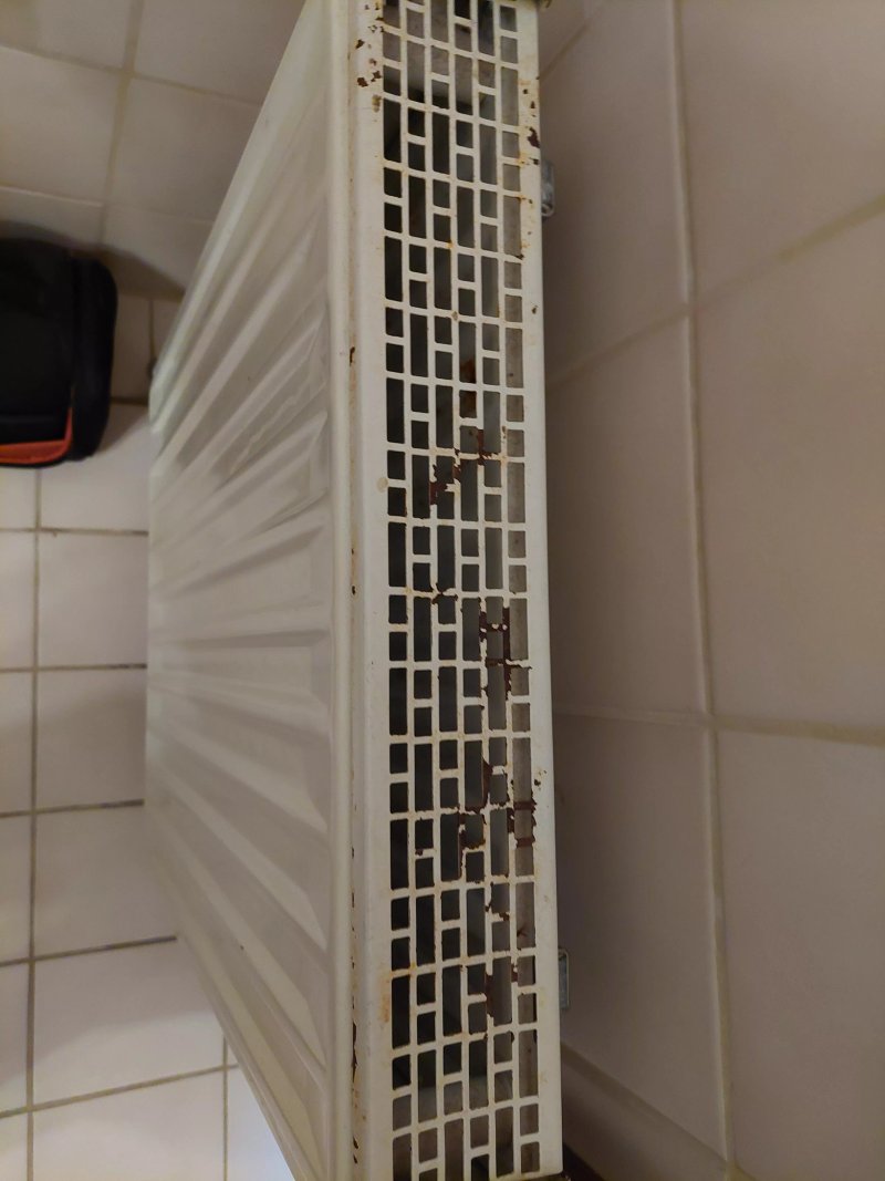Hotel Schwarzwald Zur Traube