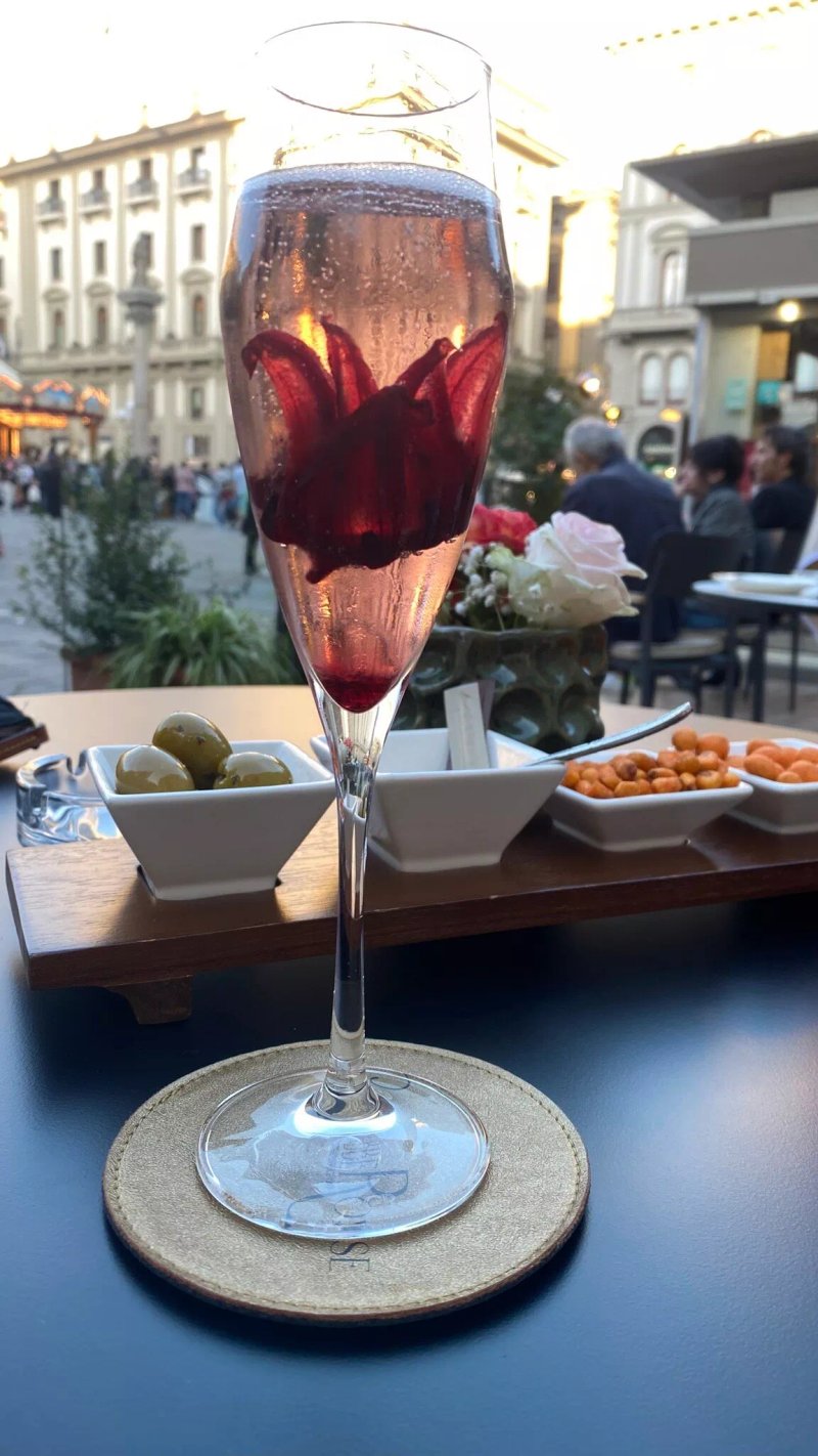 Giubbe Rosse