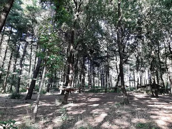 Parco Avventura Il Pettirosso