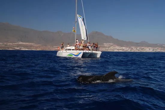 Eden Catamaran