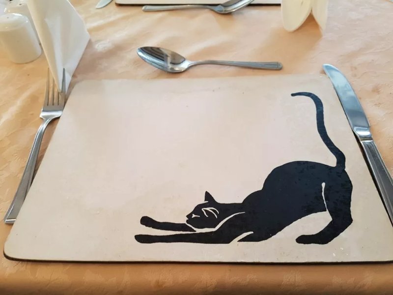 The Mad Cat Inn