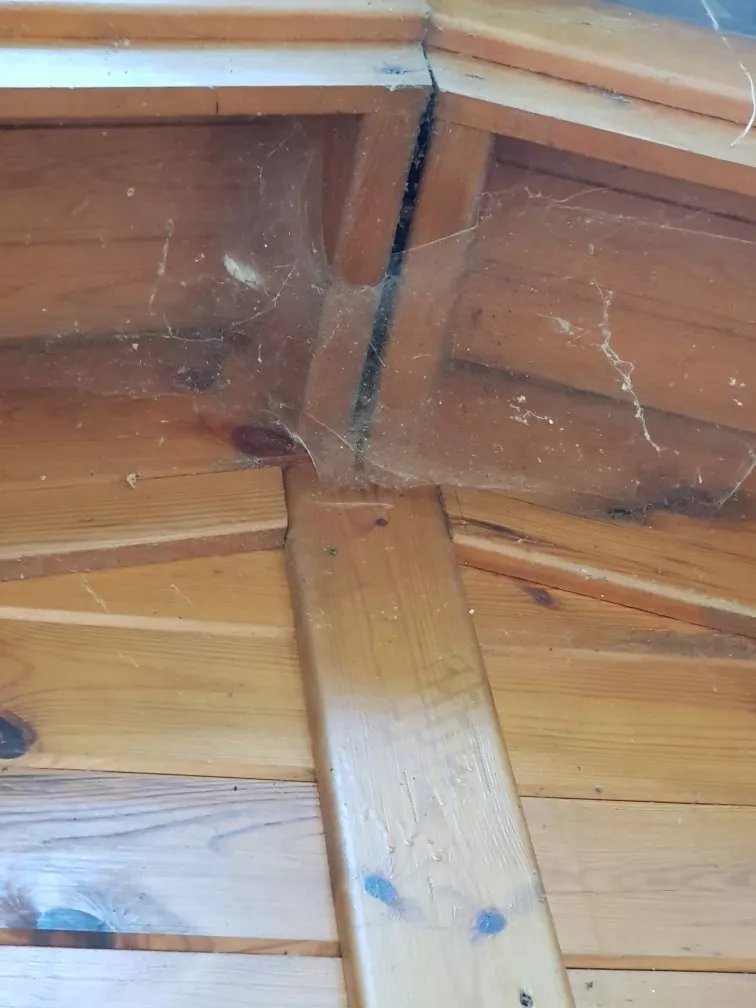 Camping el Vedado