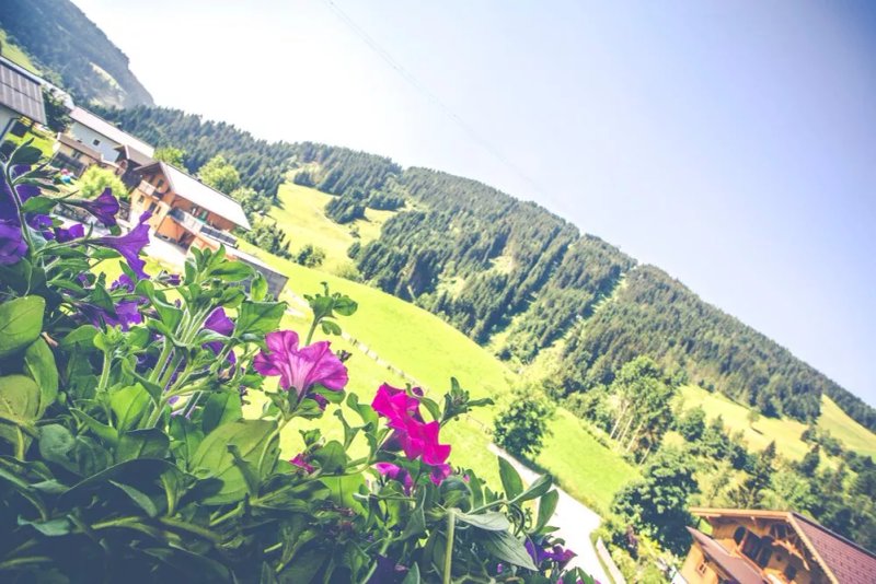 Appartementhaus Berghoam