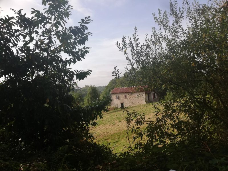 Camping Bixta Eder