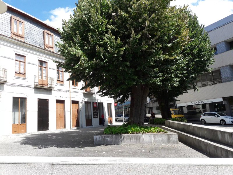 Cafe,restaurante, pastelaria, Belem