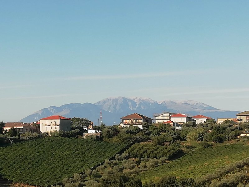 Agriturismo Tenuta Giardino Fiorito