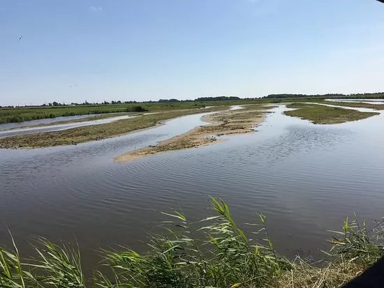 NABU-Wasservogelreservat Wallnau