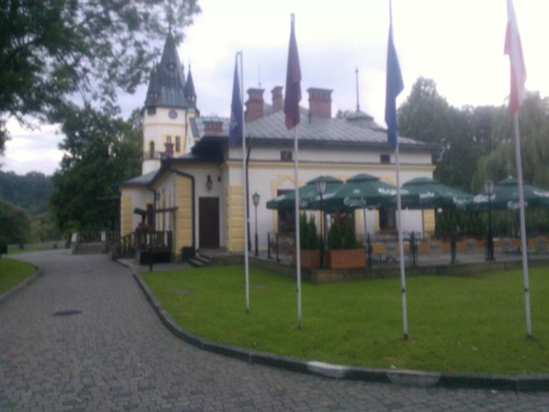 Palac Biesa w Olszanicy