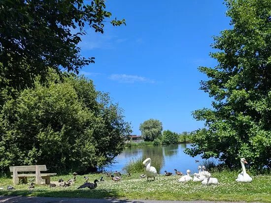 Le Parc Naturel du Marais