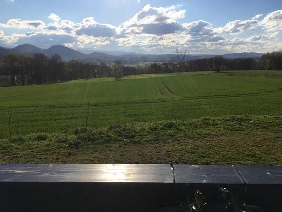 Miedzianka Brewery
