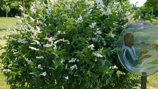 Il Giardino di Maria